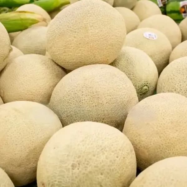 Cantaloupe