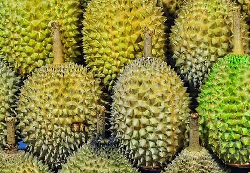 Durian