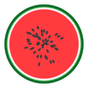 Melon AI Logo