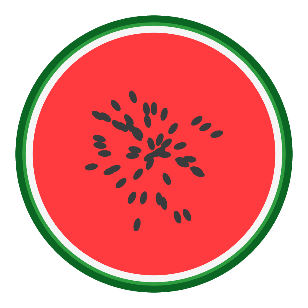 Melon AI Logo