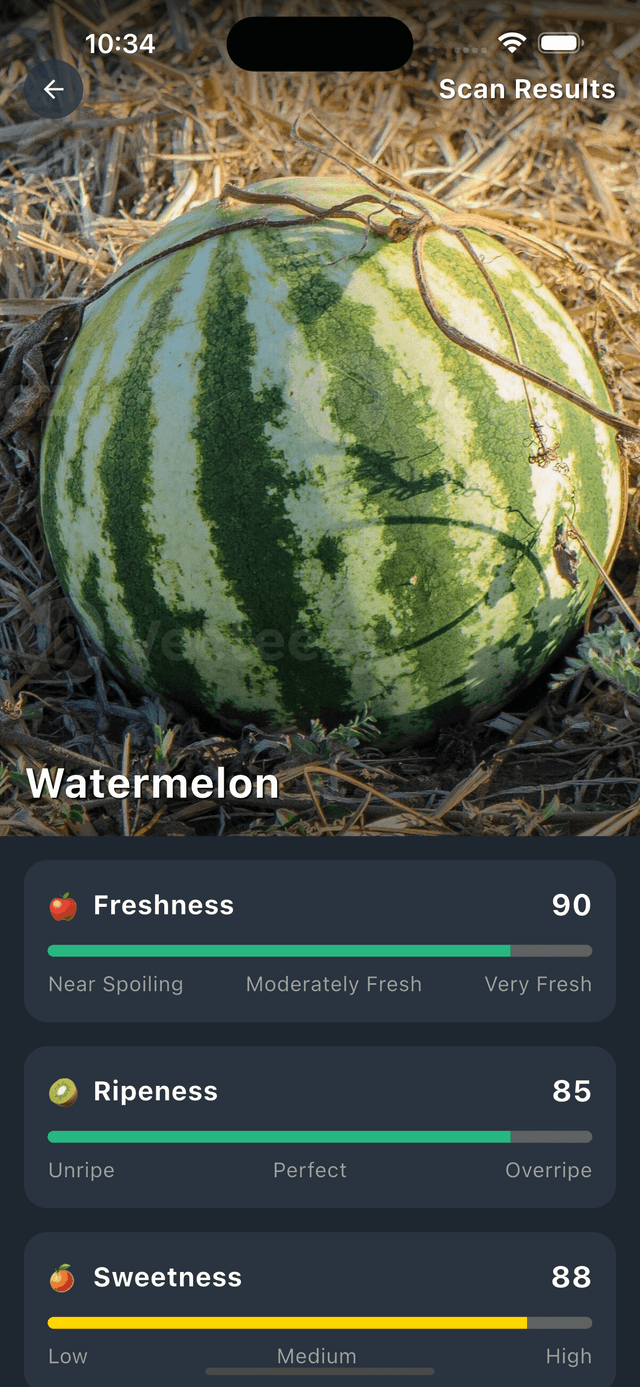Melon AI app interface showing watermelon analysis screen