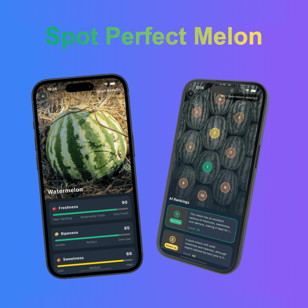 Melon AI App Screenshot