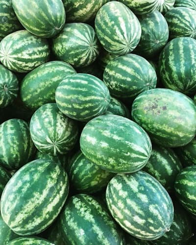 Watermelon