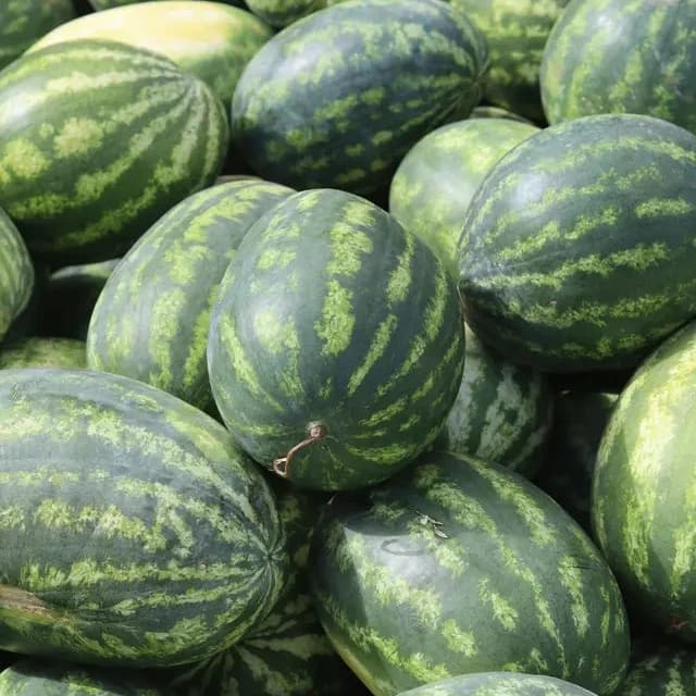 Fresh watermelons at a market